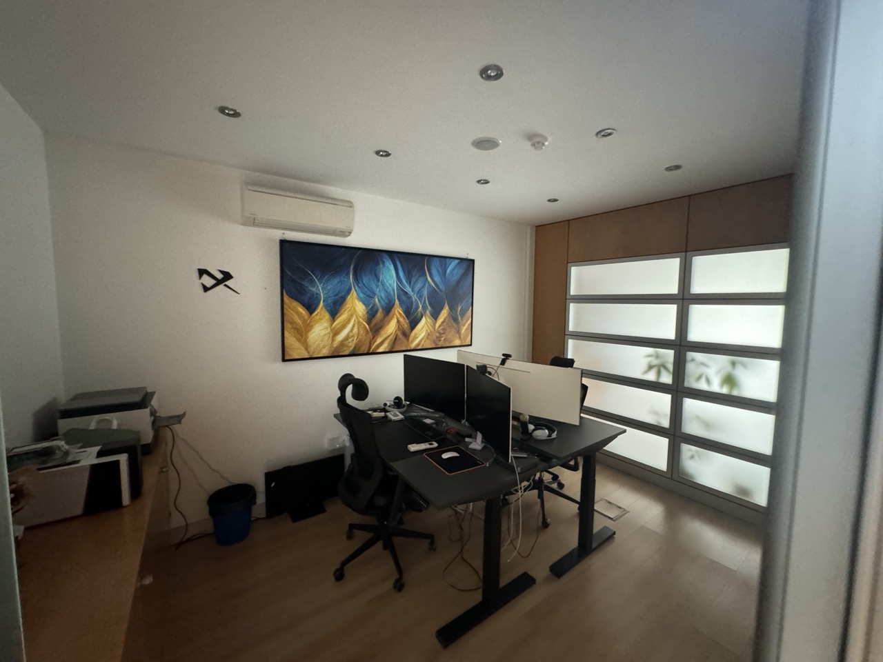 Marc and Jelena's Office